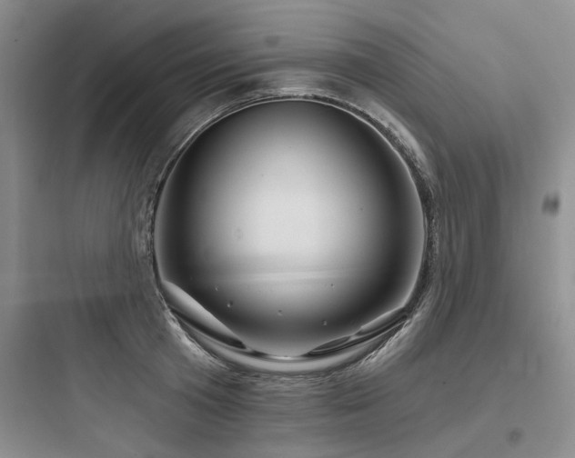 X0000097970801200803241234