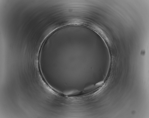 X0000097970802200803241234