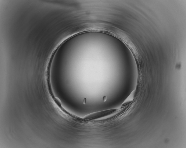 X0000097970803200803241234