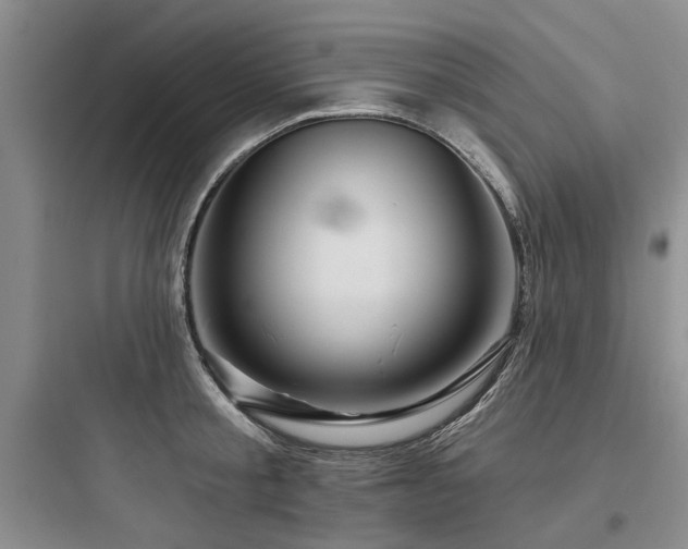 X0000097970805200803241234