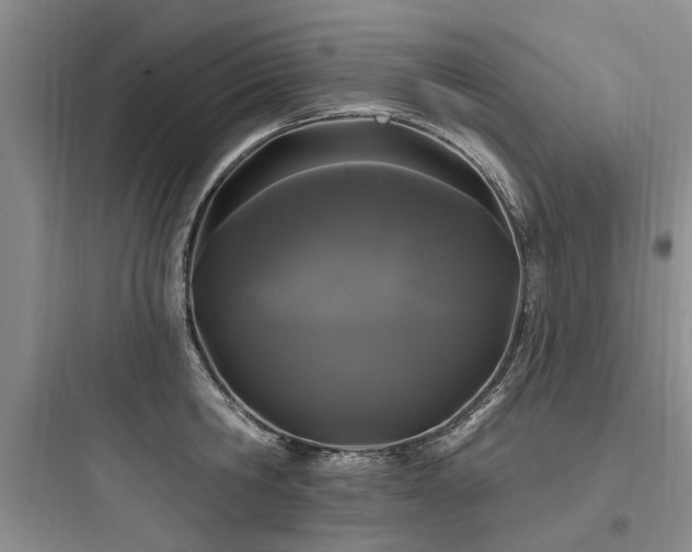 X0000097970806200803241234