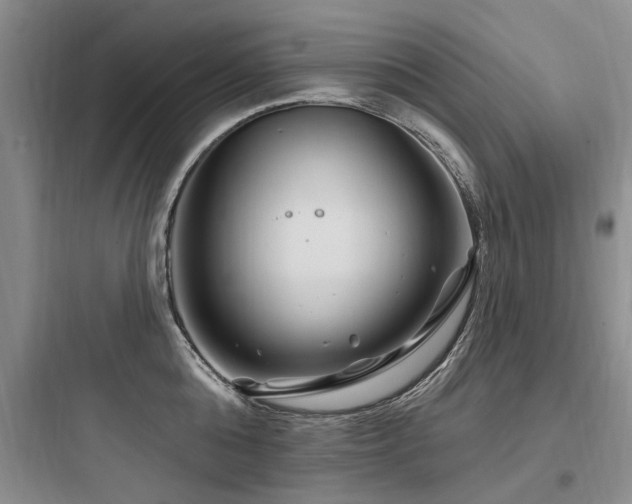 X0000097970808200803241234