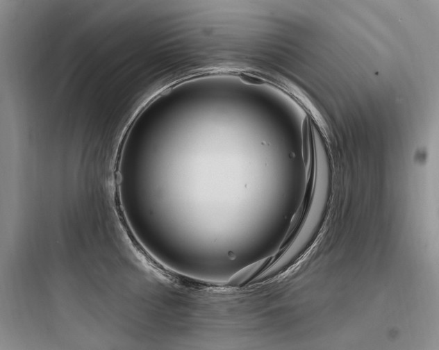 X0000097970810200803241234