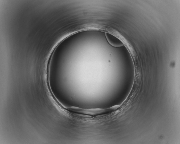 X0000097970811200803241234