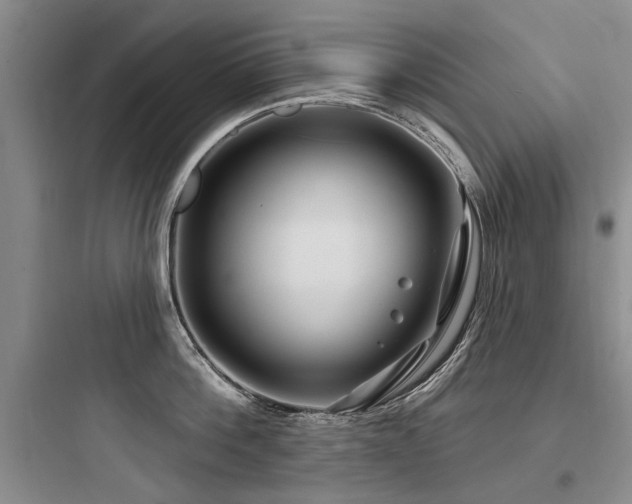 X0000097970812200803241234