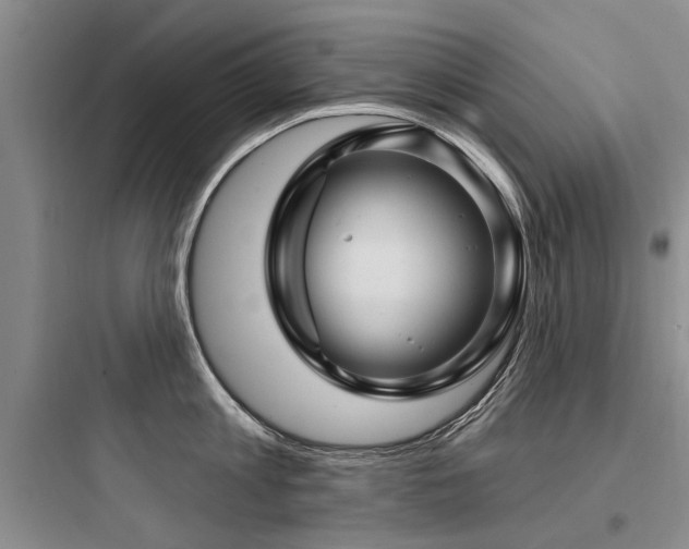 X0000097970813200803241234