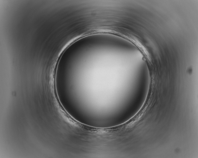 X0000097970814200803241234