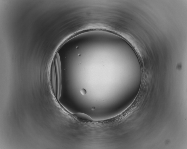 X0000097970815200803241234