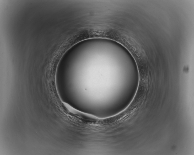 X0000097970817200803241233