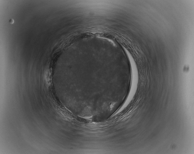 X0000097970818200803241233