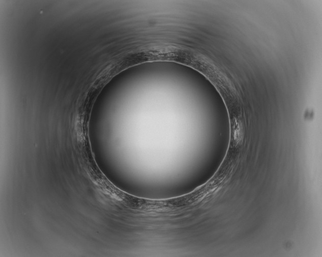 X0000097970819200803241233
