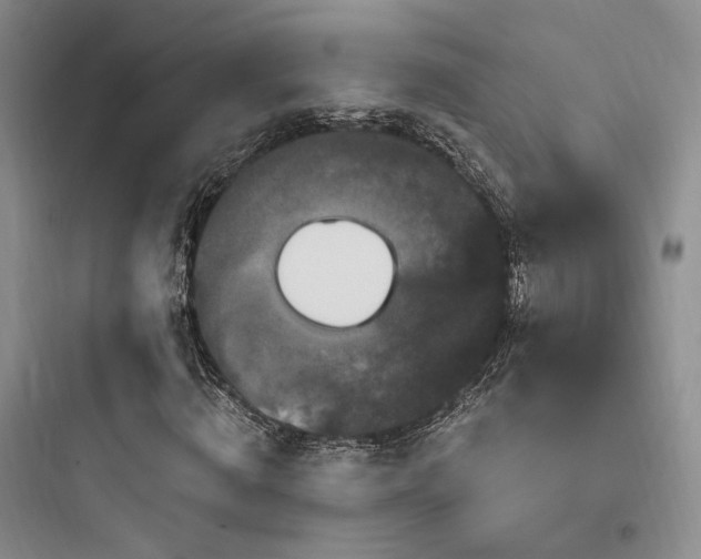 X0000097970820200803241233