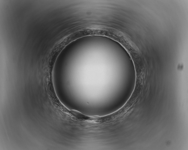 X0000097970821200803241233