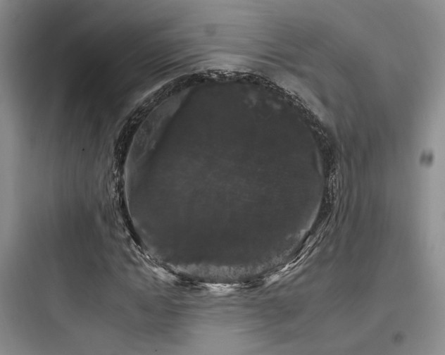 X0000097970822200803241233