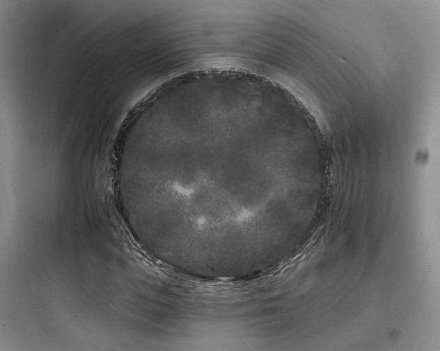 X0000097970823200803241233