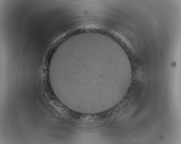 X0000097970824200803241233