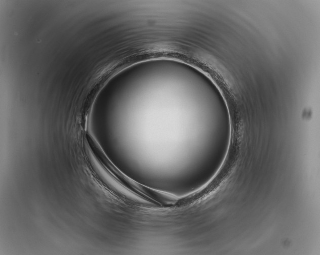 X0000097970825200803241233