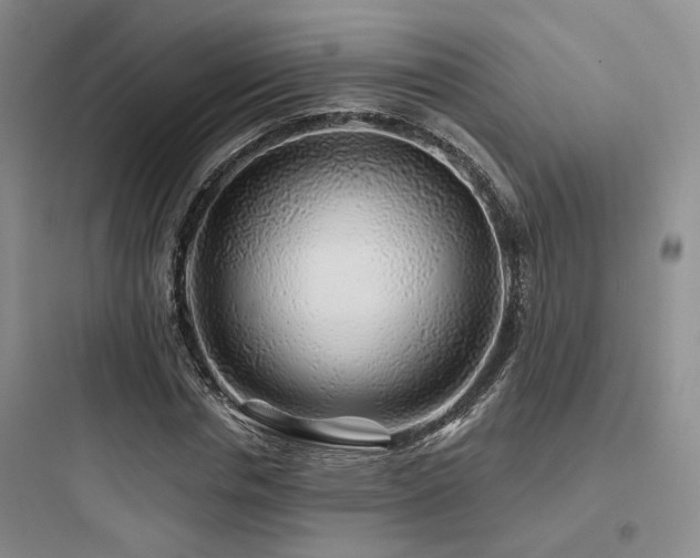 X0000097970826200803241233