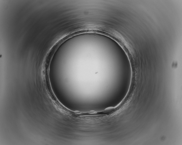 X0000097970827200803241233