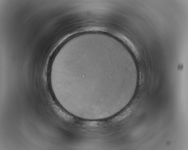 X0000097970828200803241233