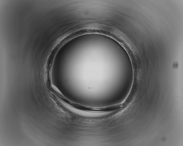 X0000097970829200803241233