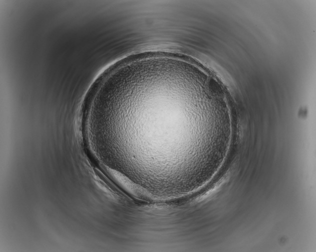 X0000097970830200803241233