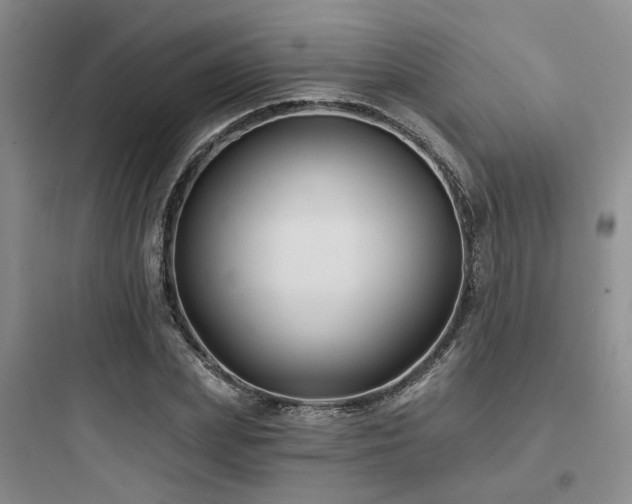 X0000097970831200803241233