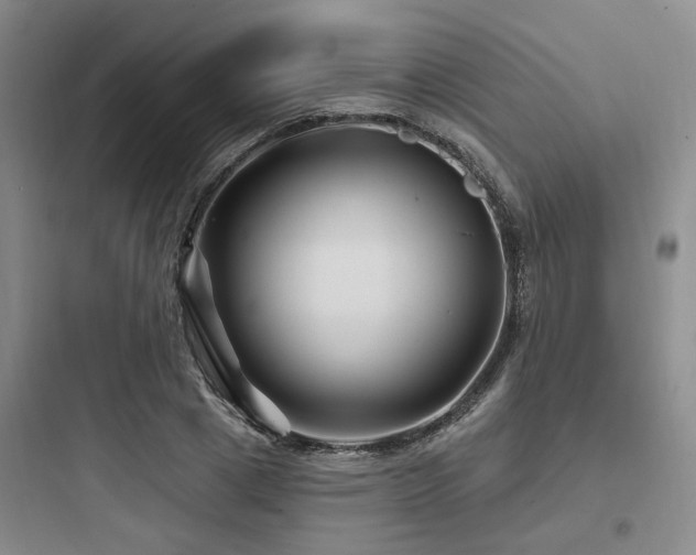 X0000097970833200803241233