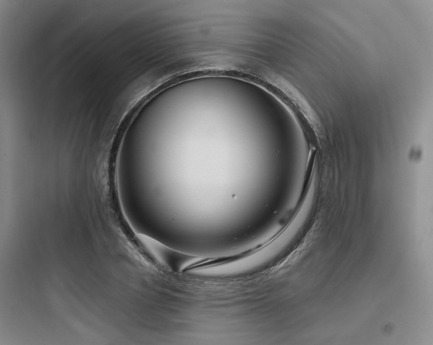 X0000097970834200803241233
