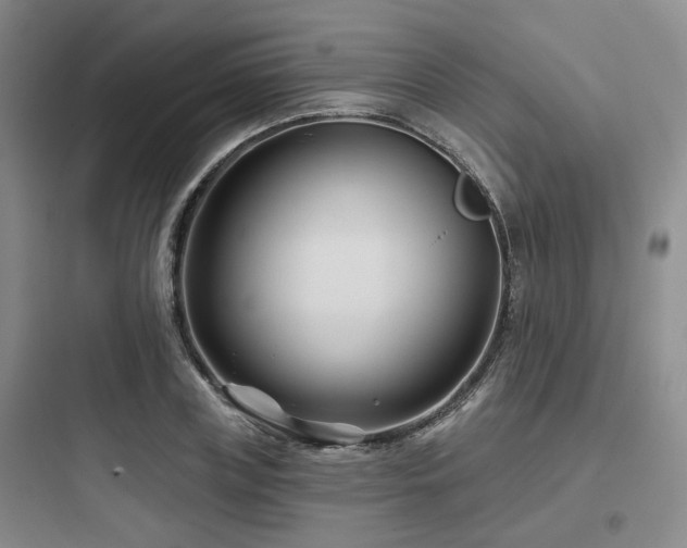 X0000097970835200803241233