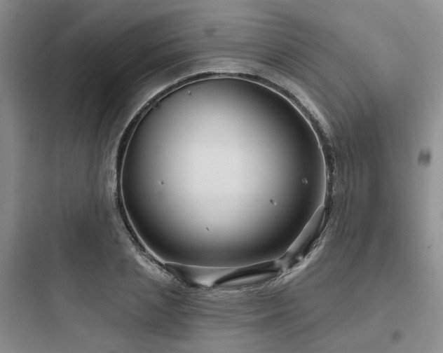 X0000097970837200803241233