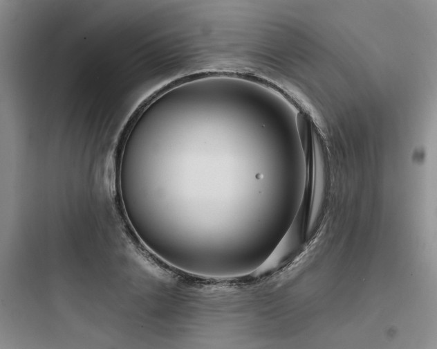 X0000097970838200803241233