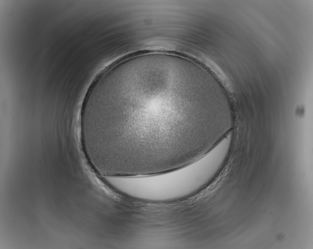 X0000097970840200803241233