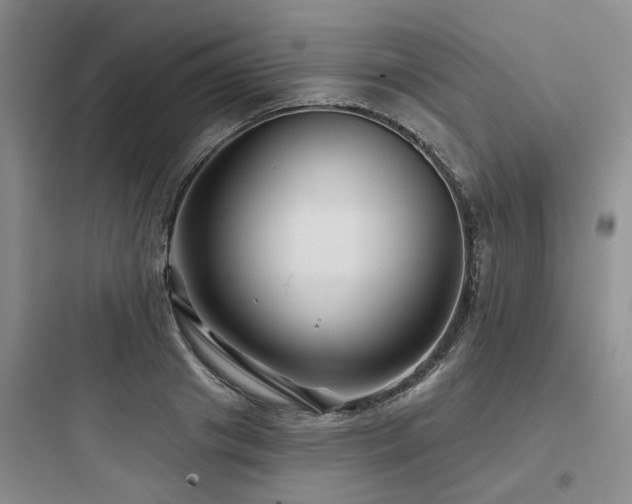 X0000097970841200803241233