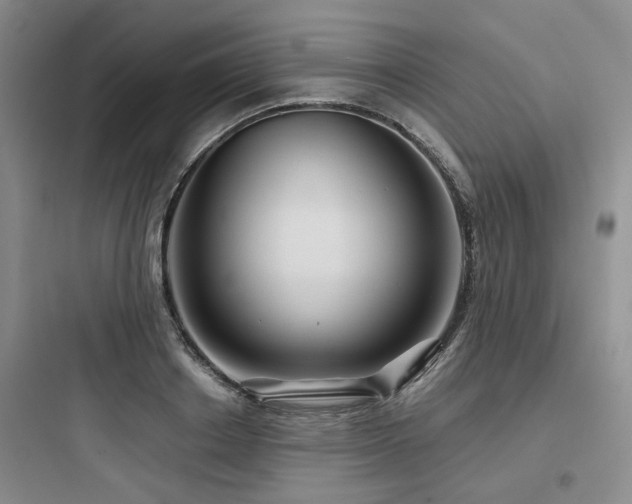 X0000097970842200803241233