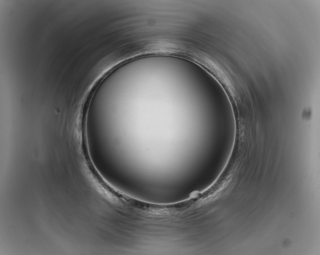 X0000097970843200803241233