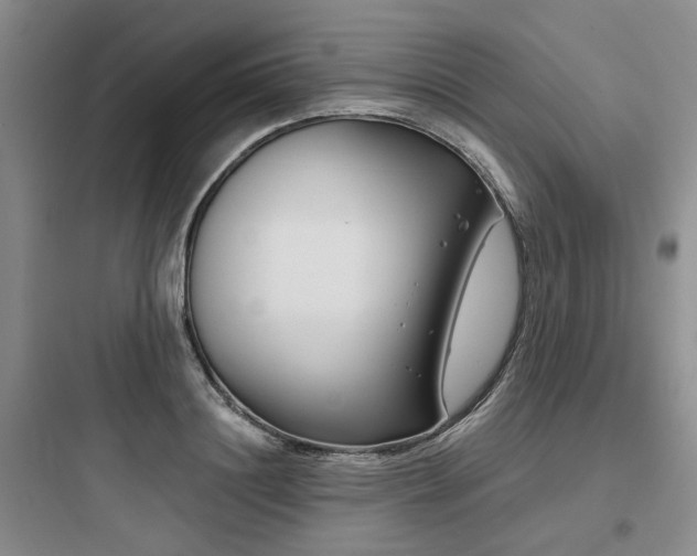 X0000097970844200803241233