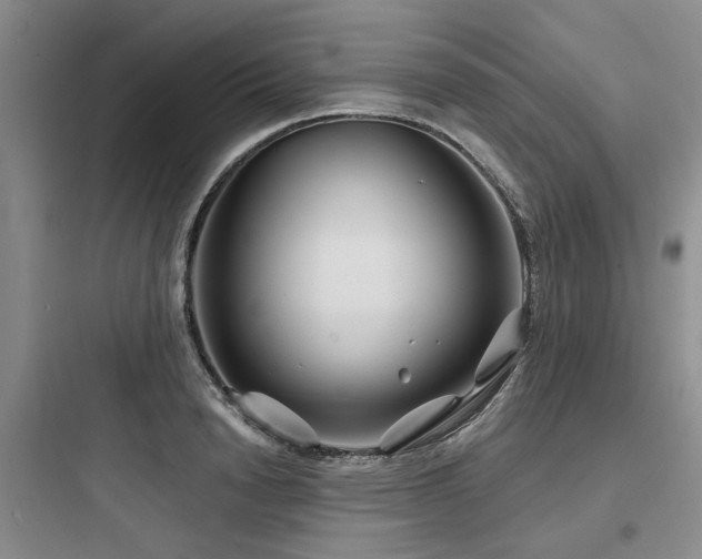 X0000097970846200803241233