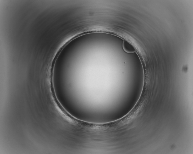X0000097970847200803241233