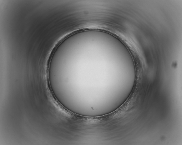 X0000097970848200803241233