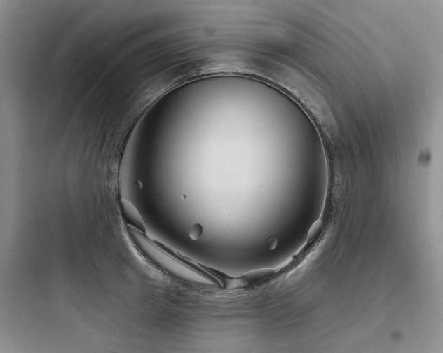 X0000097970849200803241233