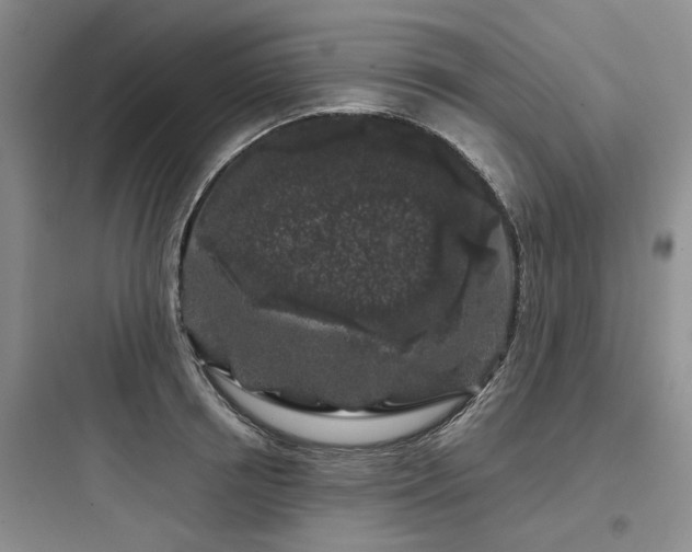 X0000097970850200803241234