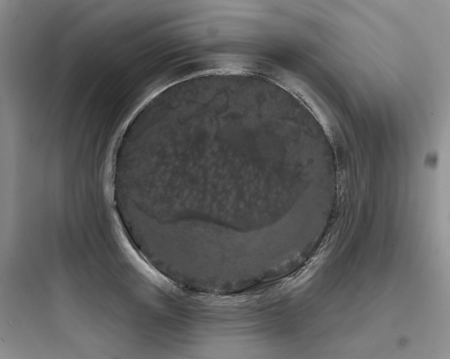 X0000097970851200803241234