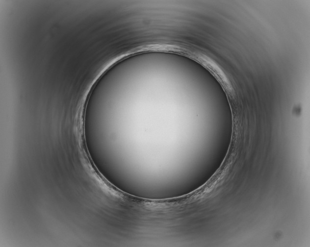 X0000097970852200803241234