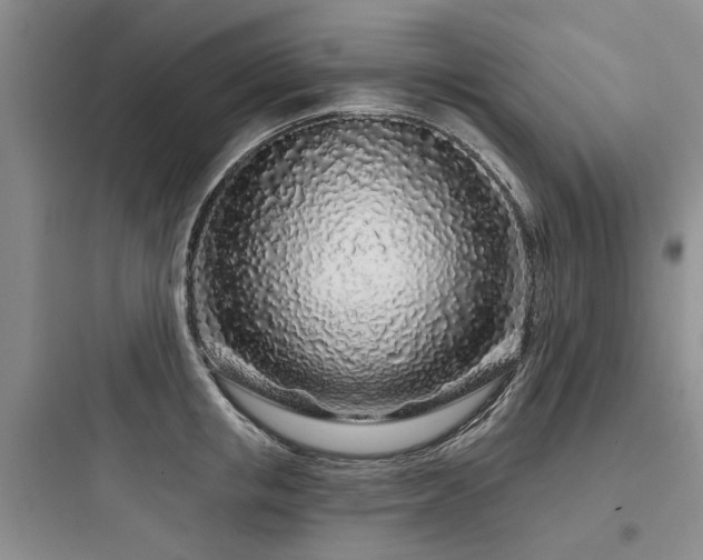 X0000097970853200803241234