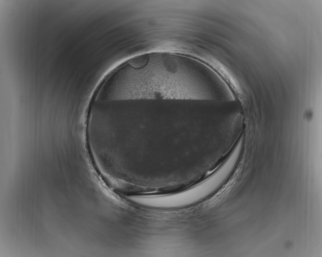 X0000097970854200803241234