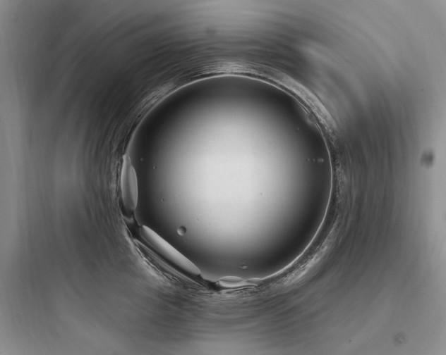X0000097970857200803241234