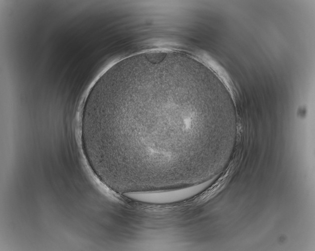 X0000097970859200803241234