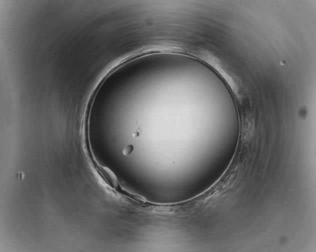 X0000097970861200803241234