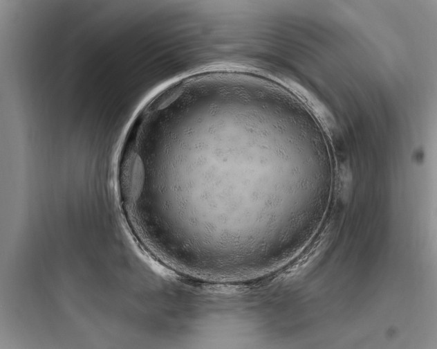 X0000097970862200803241234